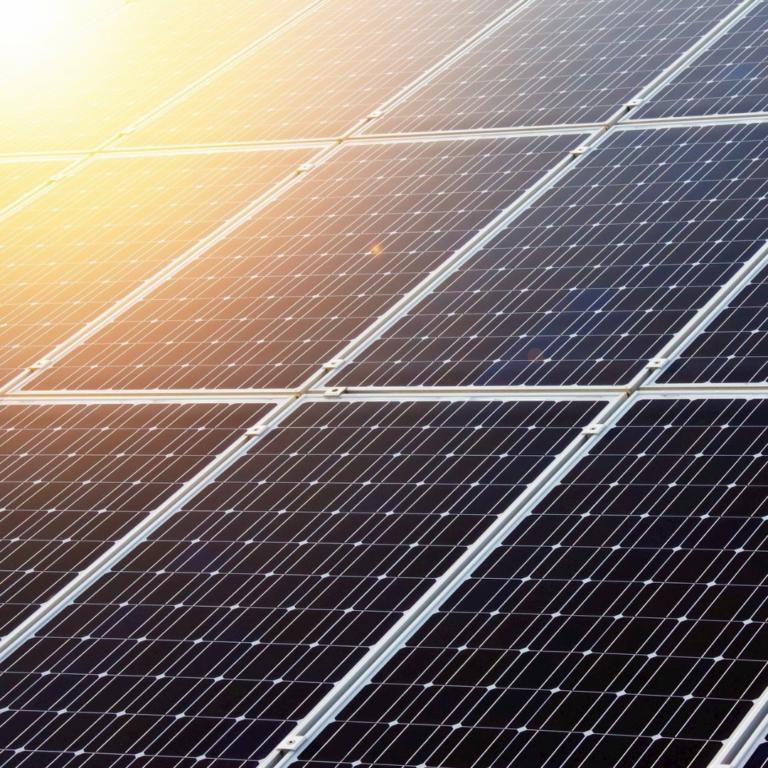 Grüne bringen Photovoltaikförderung auf den Weg