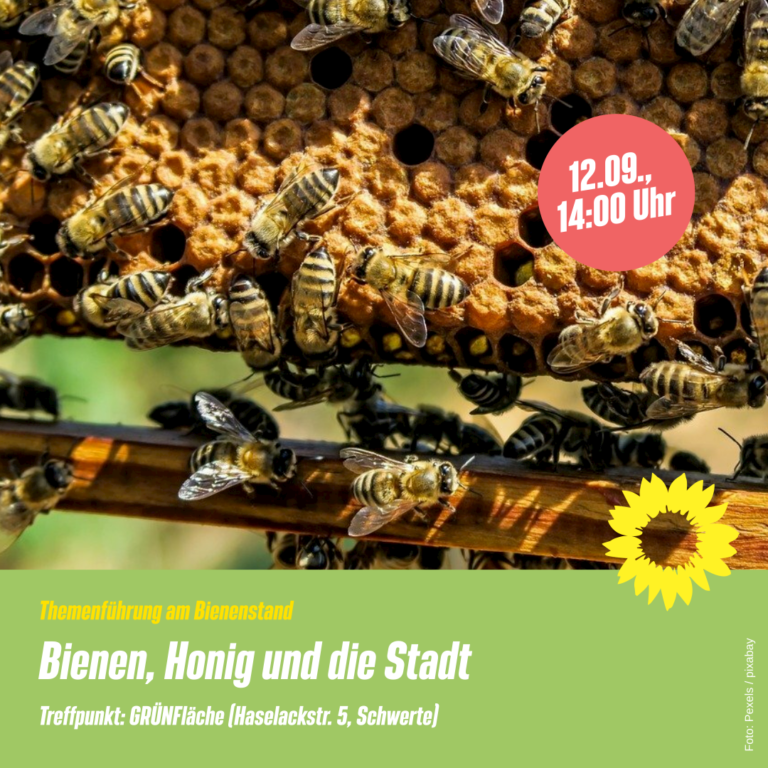 Bienen, Honig und die Stadt: Themenführung für Groß und Klein