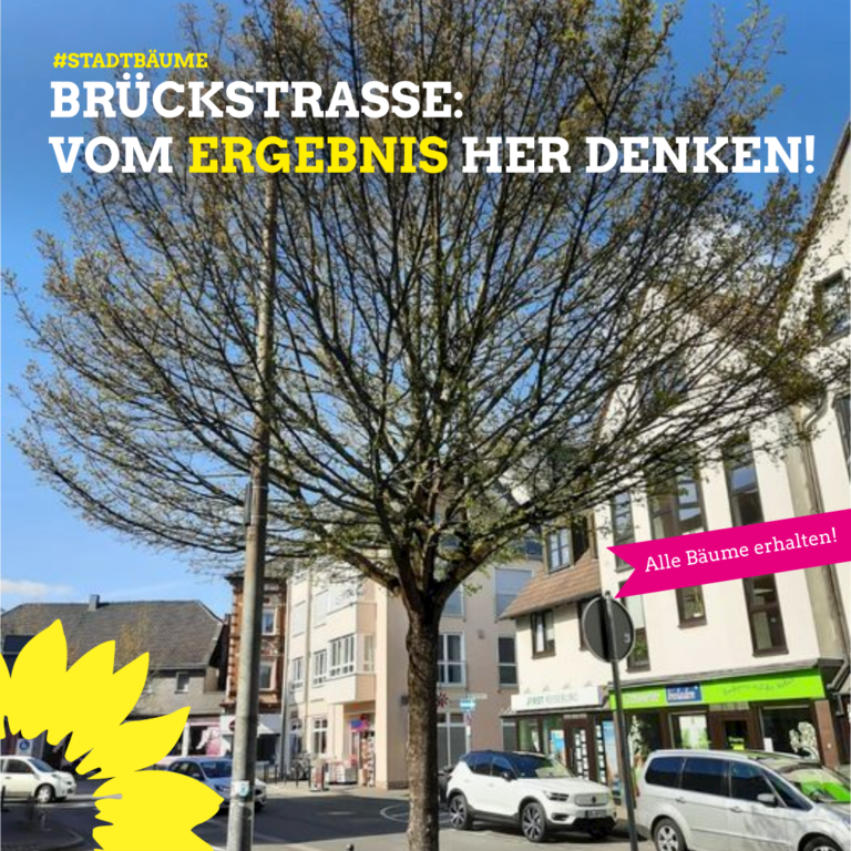 Bäume an der Brückstraße: Vom Ergebnis her denken!